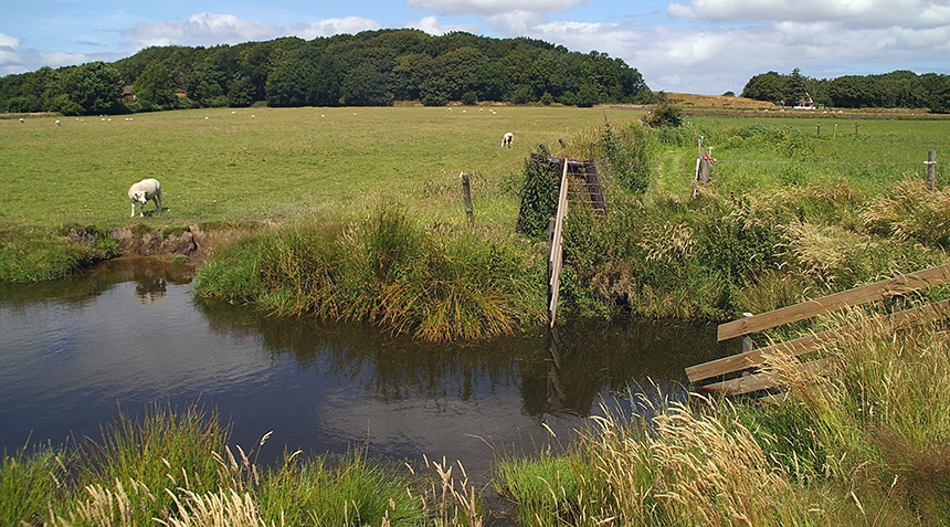 fitis hoge berg sloot brakenstein 07 06 sd